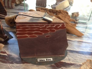 Bungle Nationalpark-149